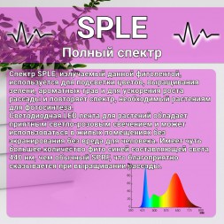 Светодиодная фитолента фито лента для растений и рассады SPLE светло розовое свечение полный спектр 0,5м