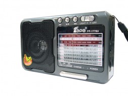 Портативное  FM радио Fepe FP-1778U
