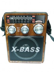 Waxiba XB-181URT fm радиоприемник