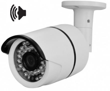 IP видеокамера наружного наблюдения ORVP3660 